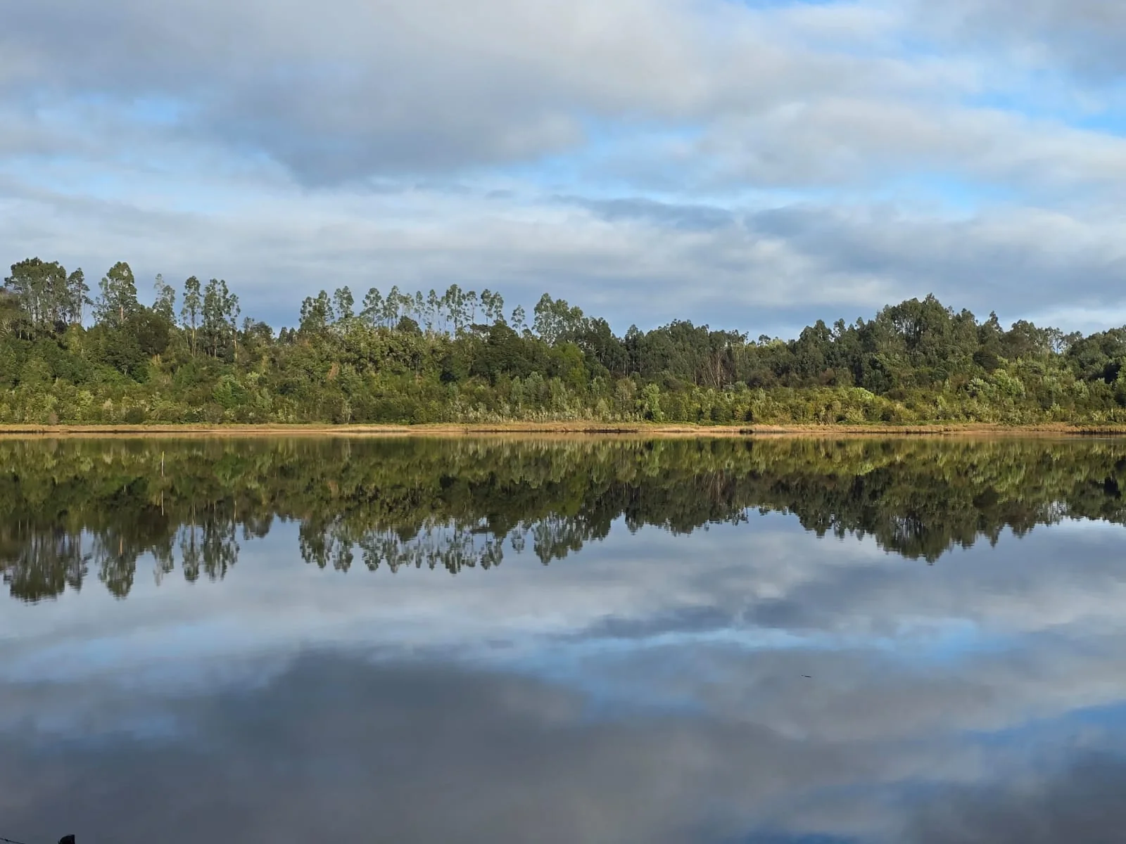 Paisaje natural de Paraíso Wilkeco en Huilqueco Rural, Ancud