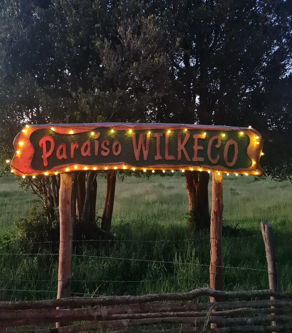 Letrero iluminado de Paraíso Wilkeco